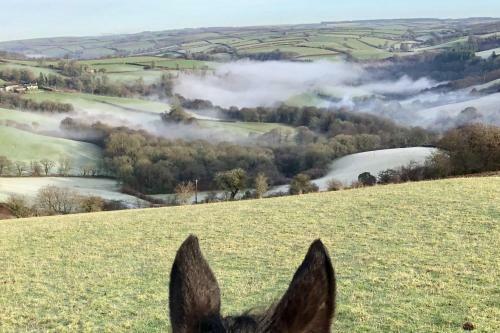 Stockham Farm, Dulverton