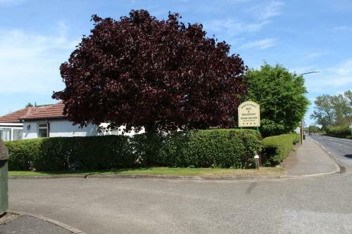 Hostal Whitecroft B&B