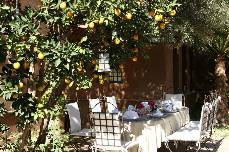 Bed & Breakfast Jnane Leila