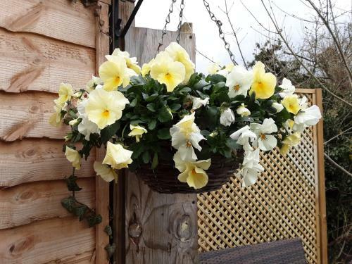 Briarwood Holiday Let Self Catering Cotswolds