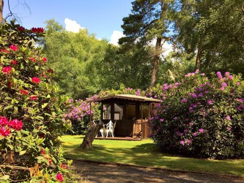 Birchcroft - Now Open To Book
