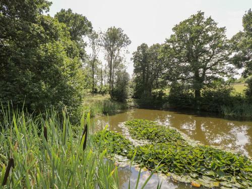Pond View