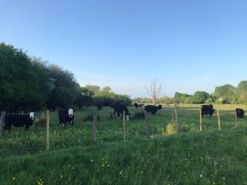 Bed & Breakfast Redbrook Farm Bnb - Gateway To The New Forest