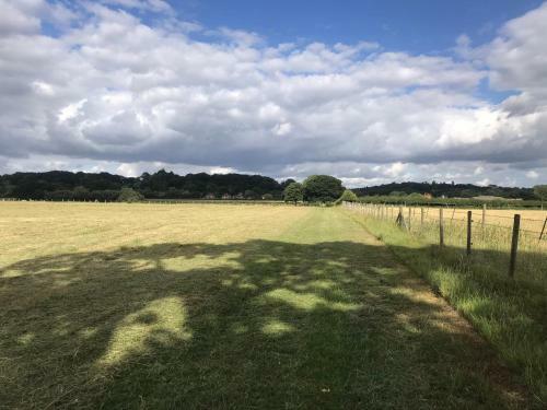 Bed & Breakfast Redbrook Farm Bnb - Gateway To The New Forest