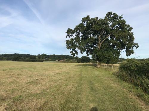 Bed & Breakfast Redbrook Farm Bnb - Gateway To The New Forest