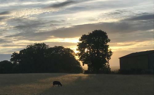 Bed & Breakfast Redbrook Farm Bnb - Gateway To The New Forest