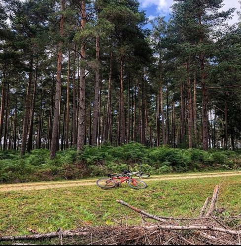Bed & Breakfast Redbrook Farm Bnb - Gateway To The New Forest