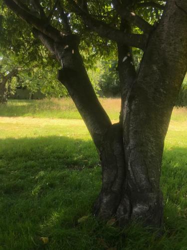 Bed & Breakfast Redbrook Farm Bnb - Gateway To The New Forest