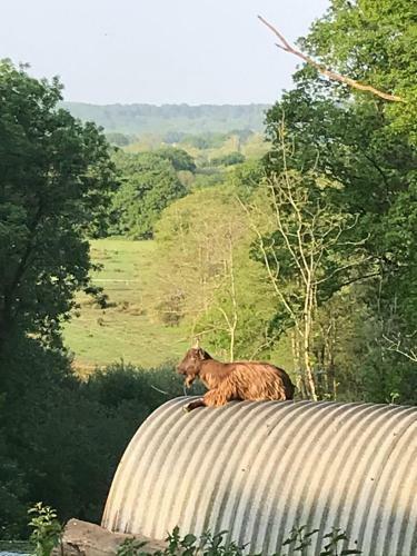 Bed & Breakfast Redbrook Farm Bnb - Gateway To The New Forest