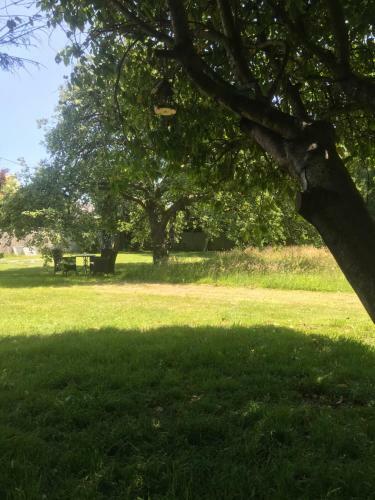 Bed & Breakfast Redbrook Farm Bnb - Gateway To The New Forest
