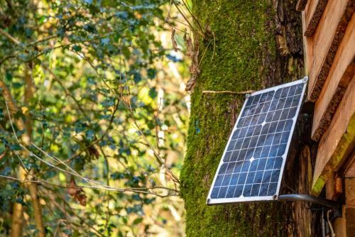 The Tree House - Eco-friendly, Back To Nature Experience