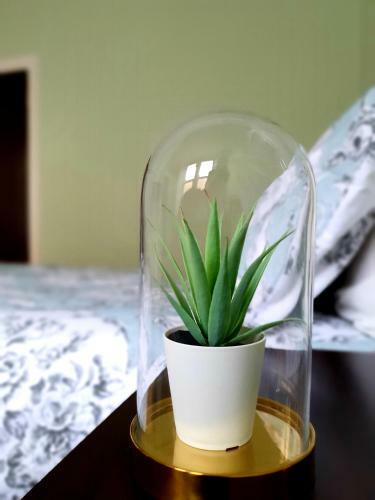 Apartamento Airy, Studio In The Heart Of West End