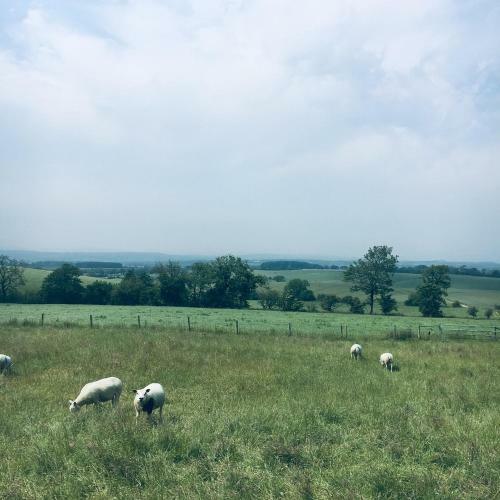 Bed & Breakfast Foxhill Fold