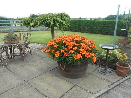 Auchenlea Lodges