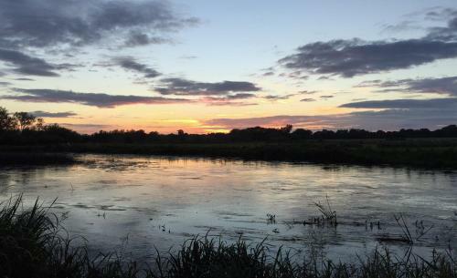 Secluded, New Forest Riverside Lodge