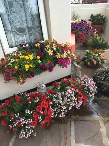 Hostal The Warren Guesthouse