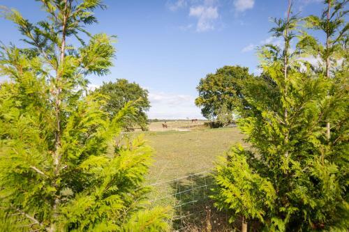 Apartamento Shepherds Rest Holidays Ltd