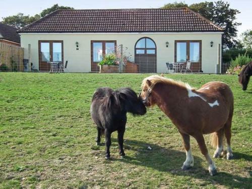 3 The Stables
