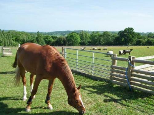 3 The Stables