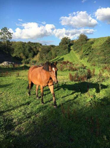 Islay Westcote Glamping