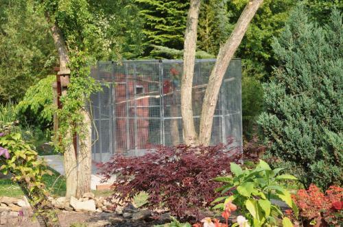 The Willows Bed & Breakfast