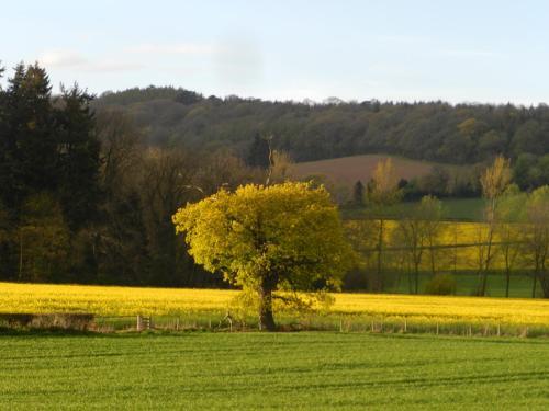Comfy 1-bed Bell Tent With Great Views