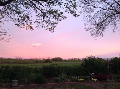 Rosebank Cottage B&B