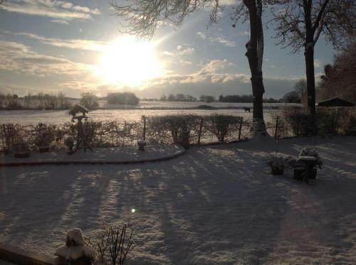 Rosebank Cottage B&B