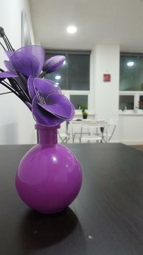 Apartamento Excelsior House
