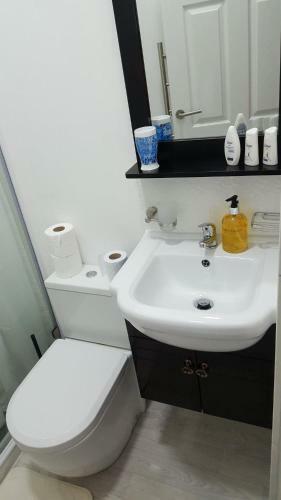 Apartamento Excelsior House