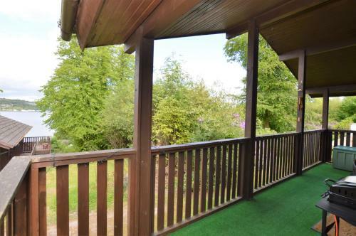Dolphin Run