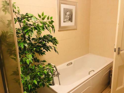 Apartamento Ilkley Central One