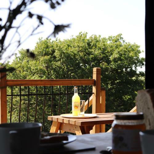 Brackenhill Glamping