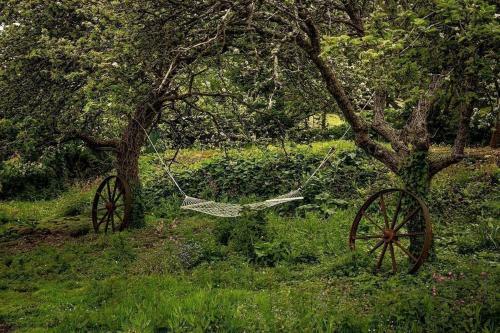 The Tregothnan Shepherds Hut