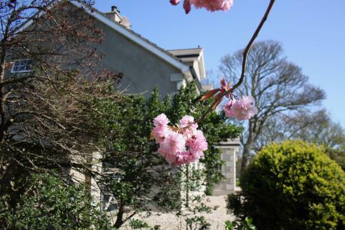 Sycamore Cottage