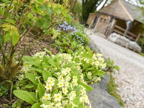 Mimi's Cottage