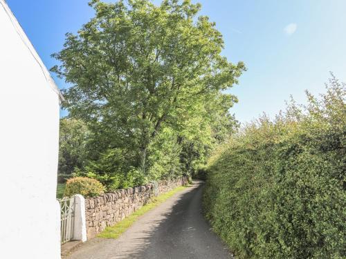 Erw Ddu - Brynteg