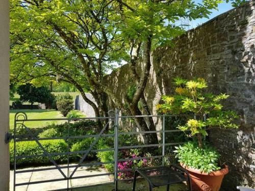 Bed & Breakfast Llwynhelig Manor