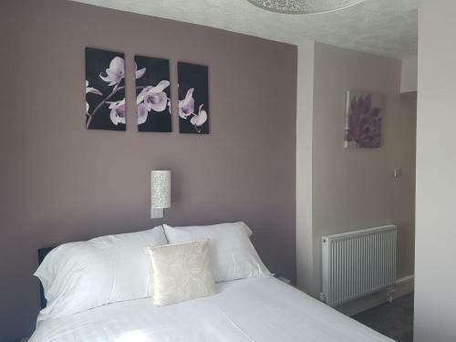 Bed & Breakfast Albany House