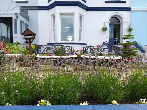Bed & Breakfast Albany House