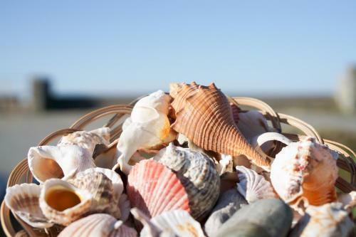 Apartamento Ocean House - Shells