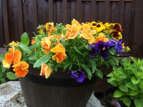 Bed & Breakfast Bonnie Haven