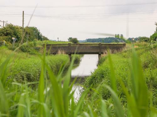 Ticklepenny
