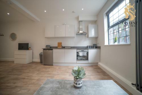 Apartamento Boutique Studio Luton Centre By Opulent Living Serviced Accommodation