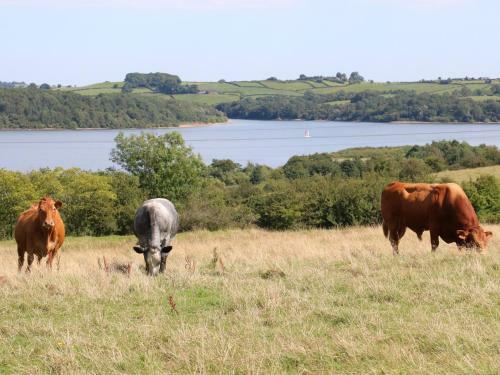 2 Miners Arms Cottages