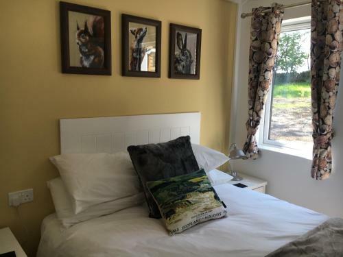 Squirrel Lodge 41 With Hot Tub Newton Stewart