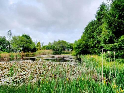 The Cottage-uk32854