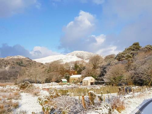 Tyn Llwyn Cornel
