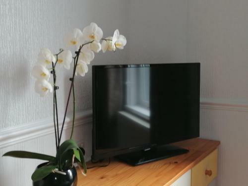 Ty Cambrian Studio Apartments
