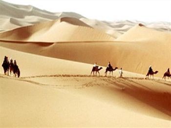 Bed & Breakfast Camel Safari Camp